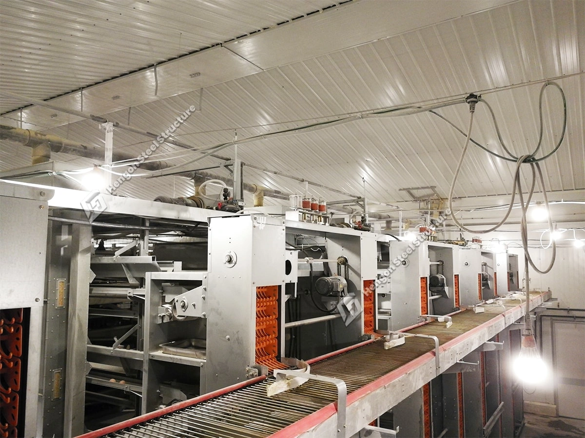 Egg Collection System